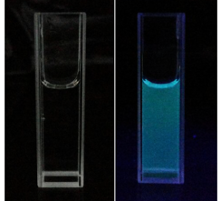 羧基化石墨烯量子點