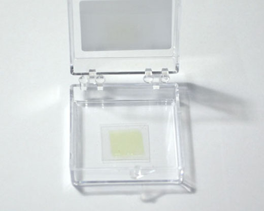 【巨納】基于柔性PET基底的三角形單層二硫化鉬（10*10mm）