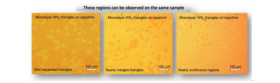 基于藍(lán)寶石襯底的三角形單層二硫化鎢-Monolayer WS2 Triangles on c-cut Sapphire