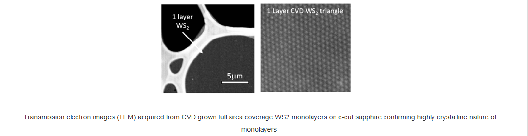 基于藍(lán)寶石襯底的全區(qū)域覆蓋的單層二硫化鎢-Full Area Coverage Monolayer WS2 on c-cut Sapphire