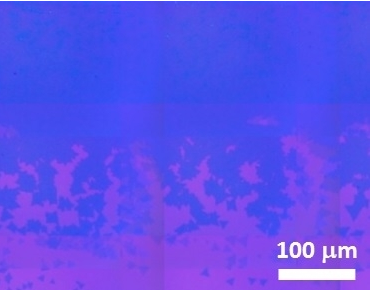 CVD單層二硫化鉬薄膜 MoS?(Molybdenum Disulfide)-CVD Monolayer 