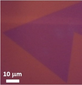 CVD單層二硫化鎢薄膜 WS?(Tungsten Disulfide)-CVD Monolayer