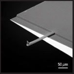 NSC15/Al BS輕敲式探針